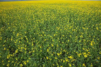 《雷神之锤：增强版》再获更新 增加机器人和mod支持