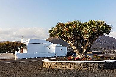 暴雪申请国内多个魔兽商标被驳回 国服真要完了？